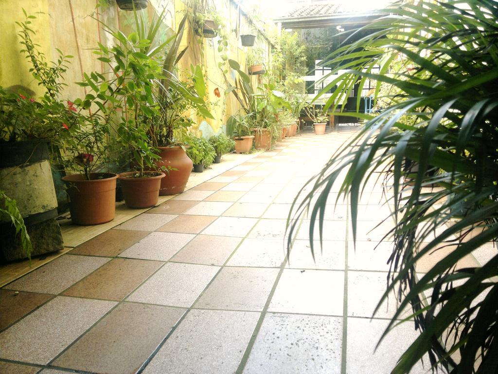 Pousada Flor Amarela Balneario Camboriu Exterior foto